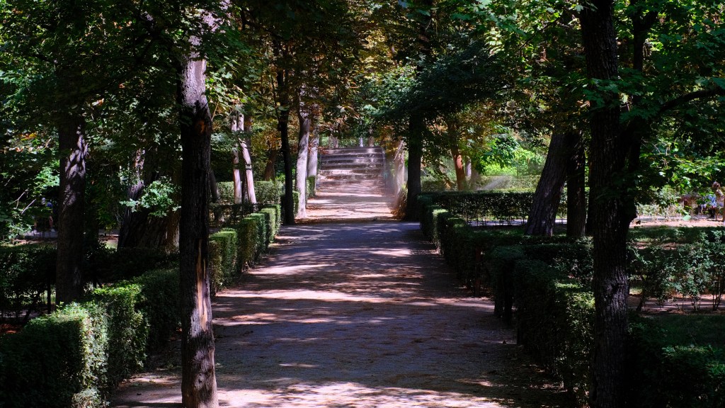 CÓMO ORGANIZAR UNA FIESTA DE CUMPLEAÑOS&nbsp;DIGITAL